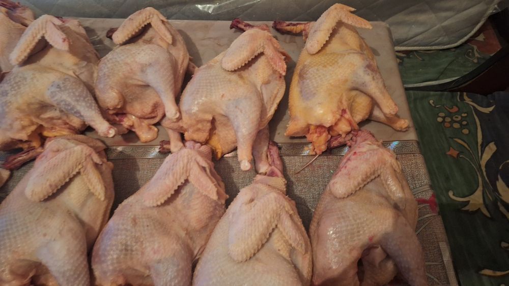 Мясо курицы домашние