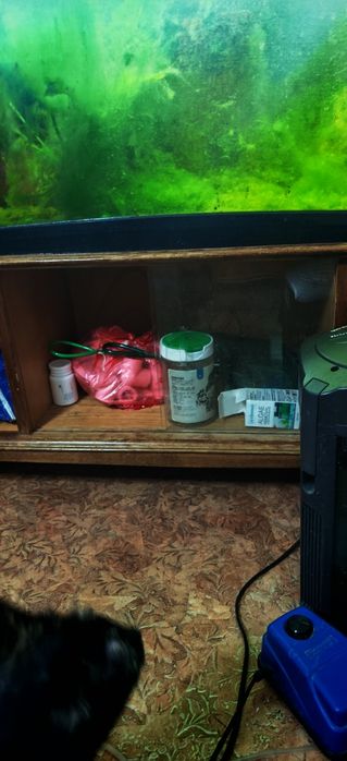 Старый аквариум все в комплекте