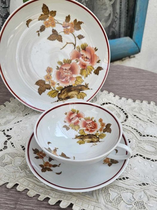 Порцеланов сервиз за чай/кафе на Johann Seltmann с азиатски мотиви