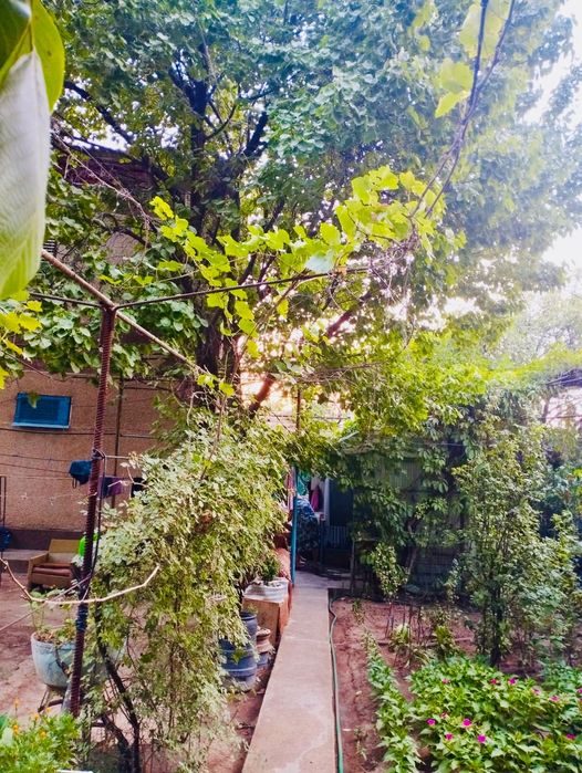 2-х этажный дом/дача