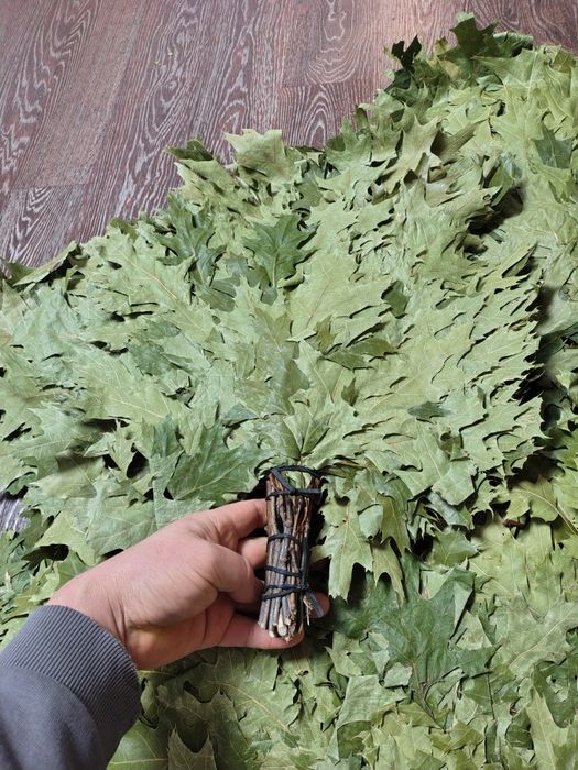 Дубовый веники  для бани