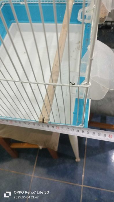 Vand colivie papagal