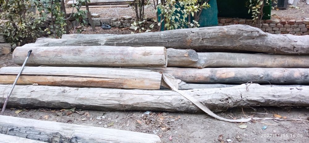 Рассийский болорлар сотилади