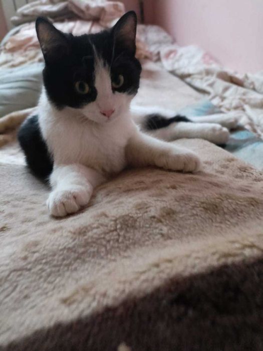 В самые ответственные руки