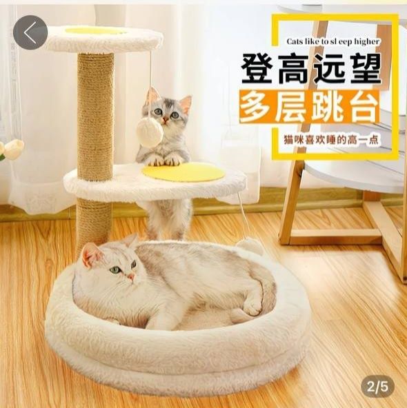 когтеточка для кота