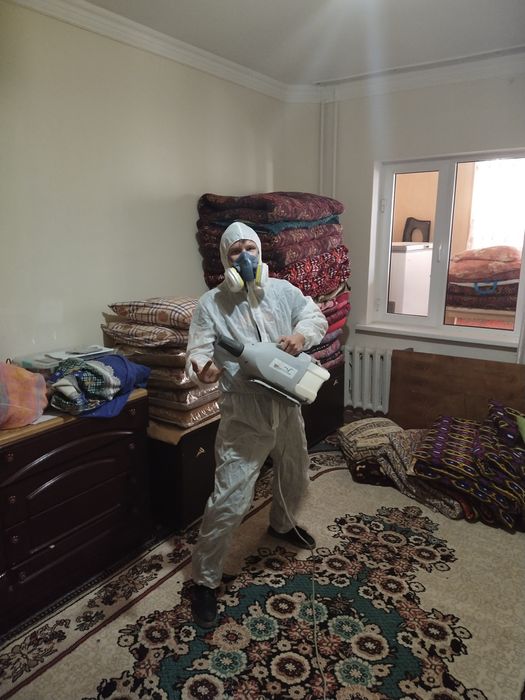 Дезинфекция Дезинсекция Дератизация Клопы тараканы мыши крысы