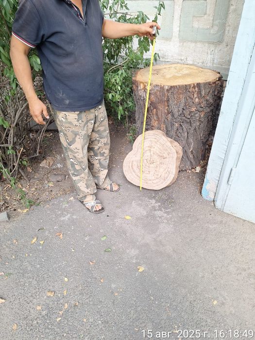 Карагач.Пеньки, слебы  и чурбаки