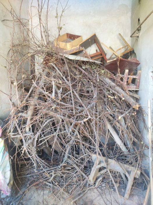 Мевали дарахтнинг утини сотилади.