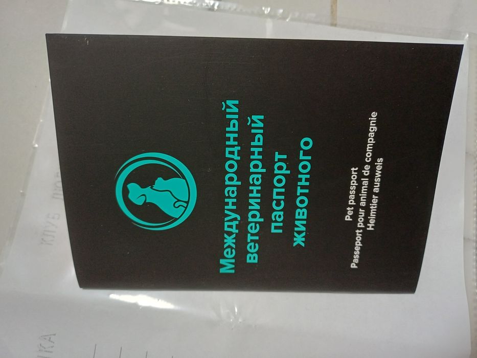 Продам шпица 3 месяца