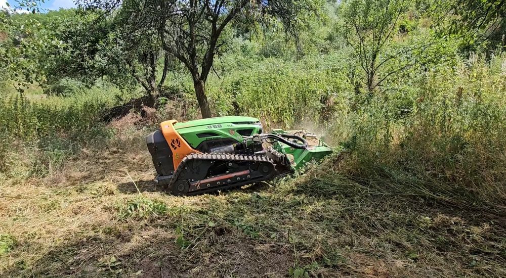 Defrișare teren cu utilaj radiocomandat - Timiș, Arad, Hunedoara, Bihor