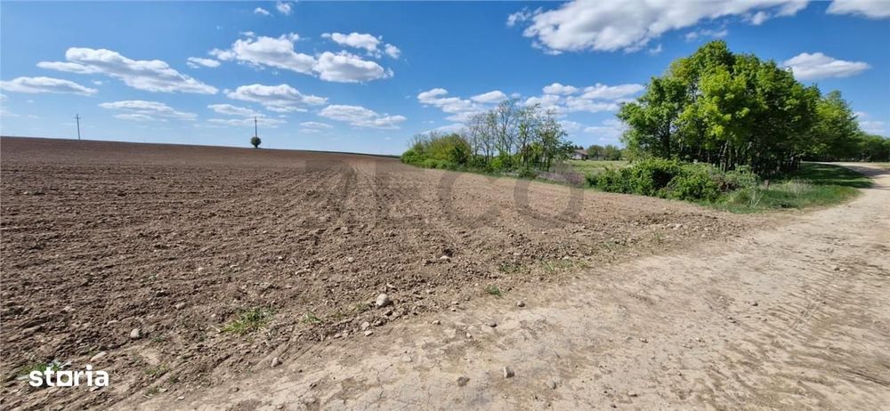 RECO Teren extravilan in Oradea 13000mp
