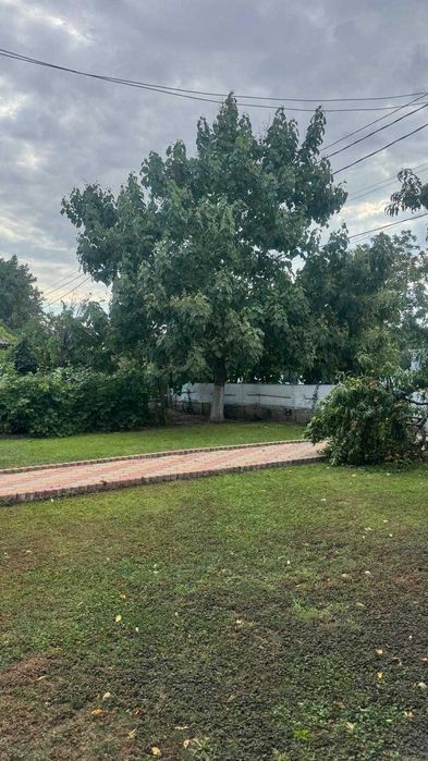 Casă cu pod mansardabil, 20 km de Delta Dunării