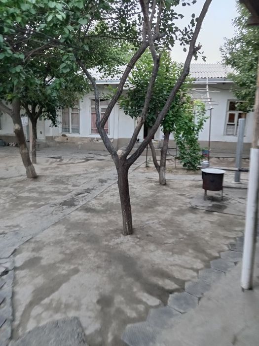 Olmazor tumani Chig'atoy masjid yonida 4.7 sotixli xovli sotiladi.