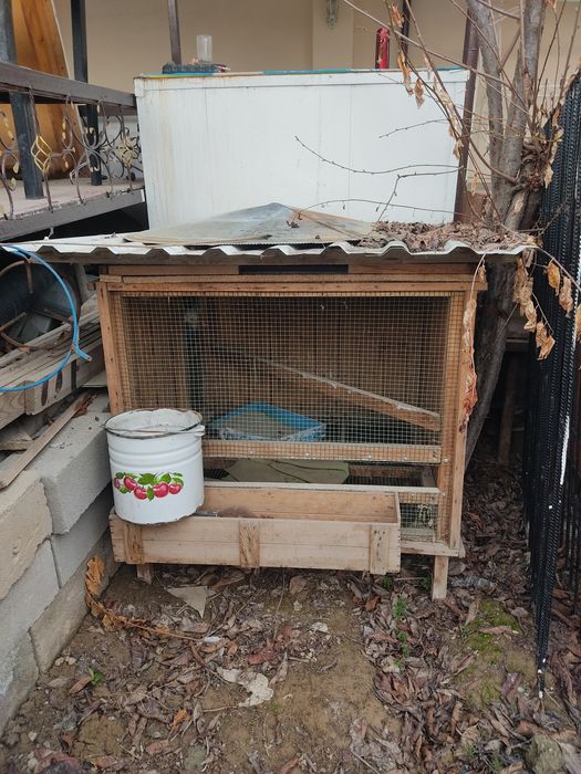 Товук ва хархил парандалар учун катак куй боксаям булади