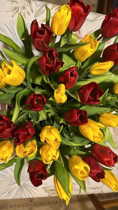 Тюльпаны на подарок