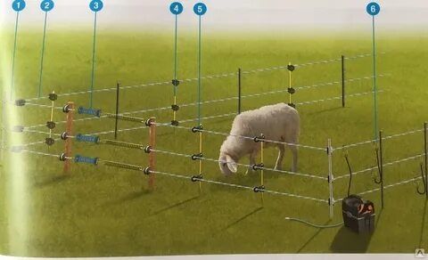 Электропастух Малға