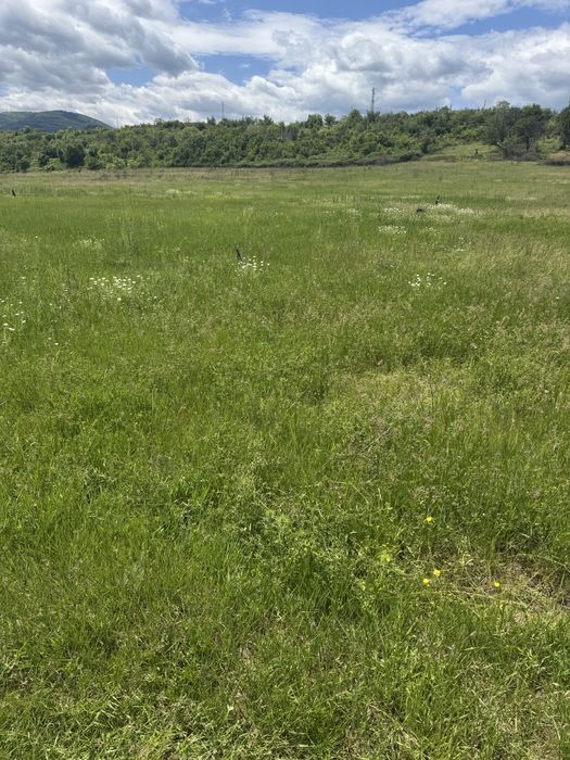 Продава се Земеделски имот в с. Пиперков чифлик, Област Кюстендил -  кв.м за 3395 €/дка - Снимка #2