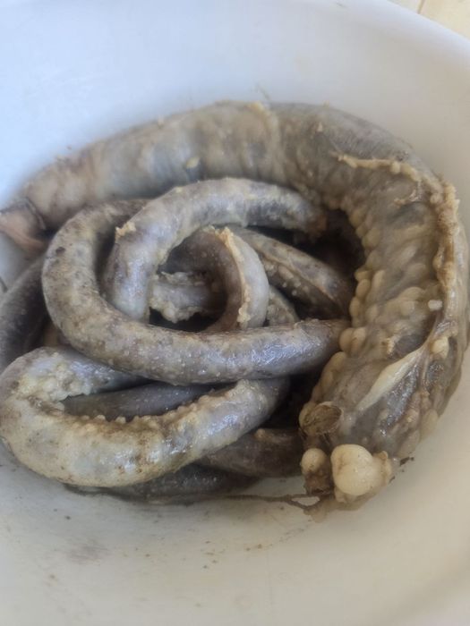 Uygur-Uzbek-Taomlari Zakazga qabul qilamiz