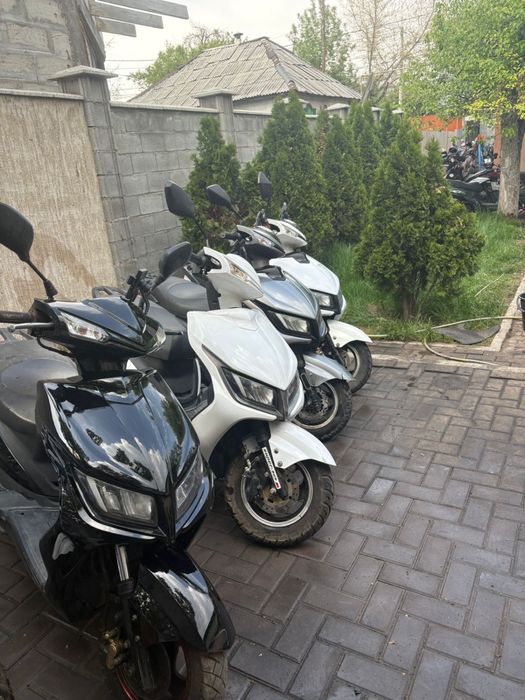 Аренда  мопедаов.