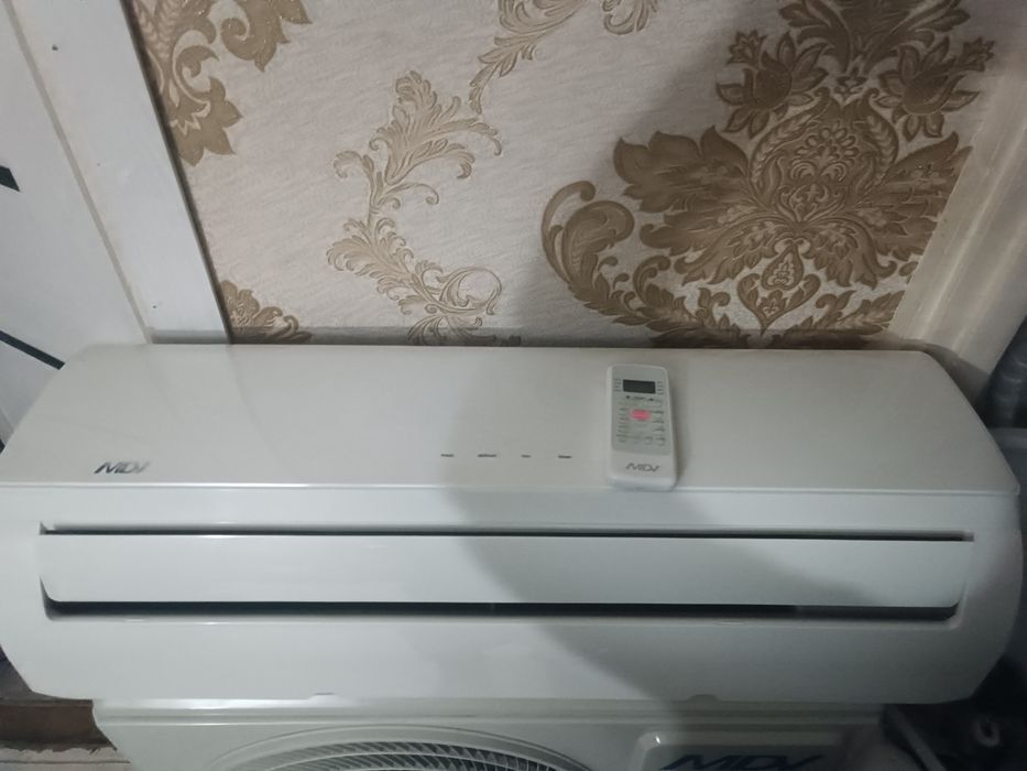 Mdv kandisaner 12 tali ideal sastaynada