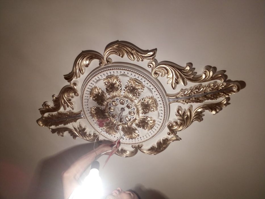 Малярка кламиз сиф