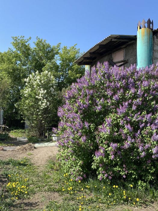 Продам дачу. Общество ,,Ромашка,, В Сортировке