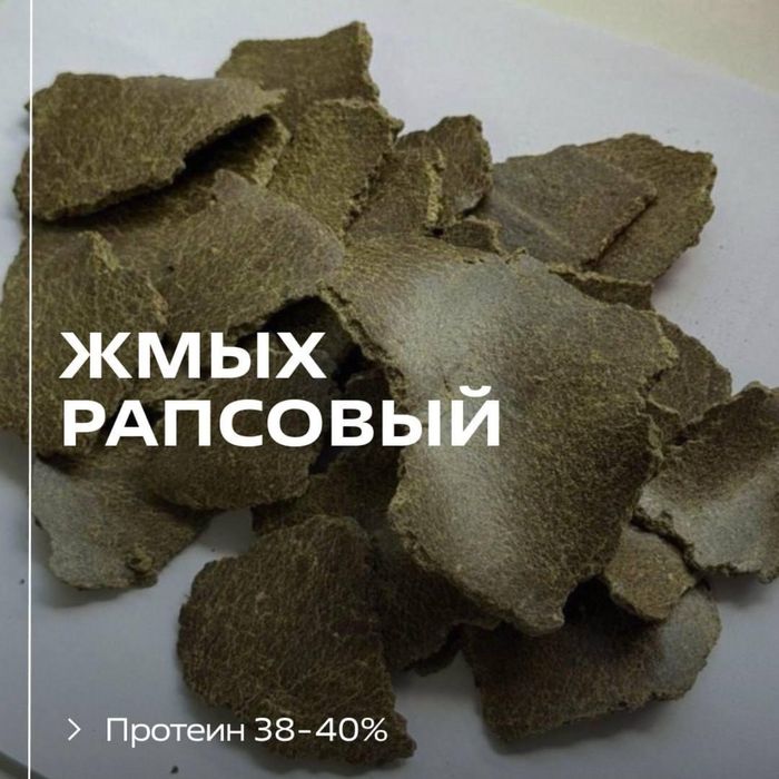 Жмых рапсовый из Алтайского края!!!