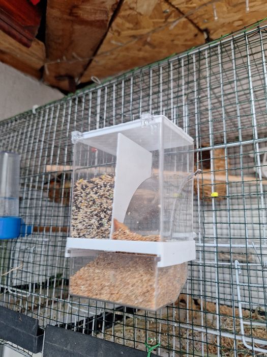 Автоматични хранилки за канарчета, папагали, амадини и други птички.