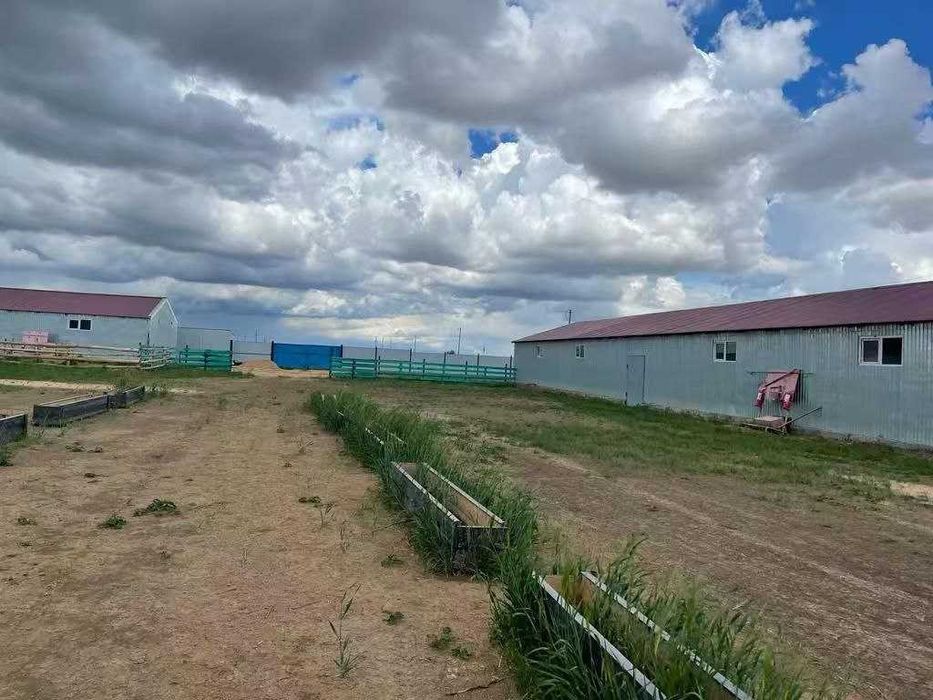 Продажа крестьянских хозяйства/Фермы