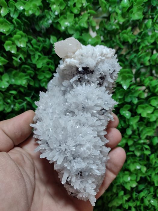 Минерали от Родопите