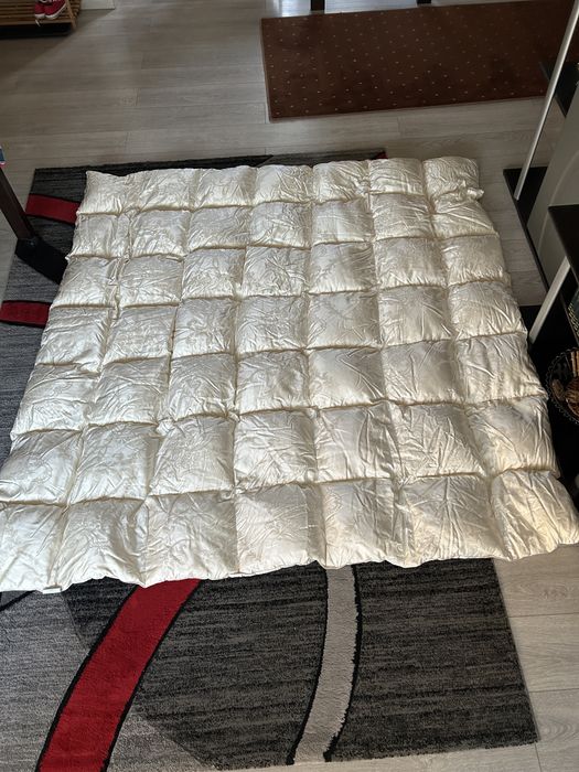 Pilota Billerbeck Exclusive 200/200