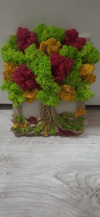 Дървото на живота от скандинавски мъх различни размери в рамка