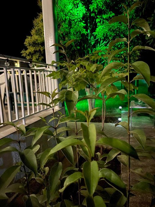 Къща под наем, Паралия Офринио, Гърция