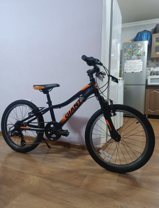 giant, trek Merida author centurion