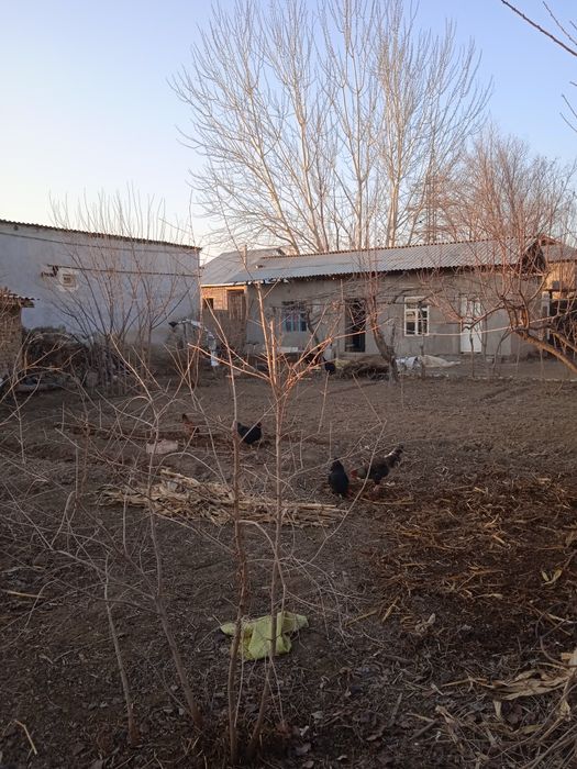 Xovli yarmi sotiladi uchaska sotiladi 
Uchastka sotiladi 4. sotix
Manz