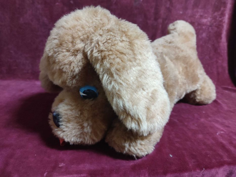 Catel din plus, culoare maro, SH dar stare buna.