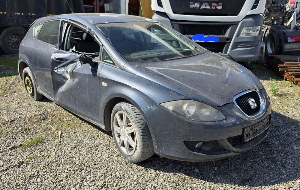 Aripa Seat Leon 2006