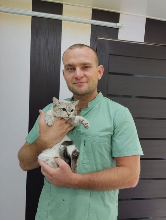 ВЕТЕРИНАР НА ДОМ! Ветеринарная клиника Свой доктор. Зоотакси. Ветерина ...