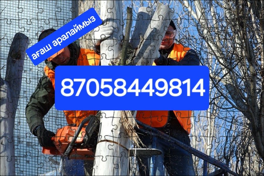 Ағаш Аралаймыз, бағасы Арзан