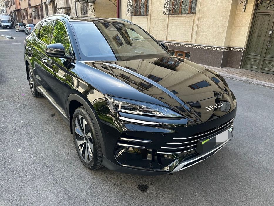 Champion d-mi hybrid Ofitsalniy