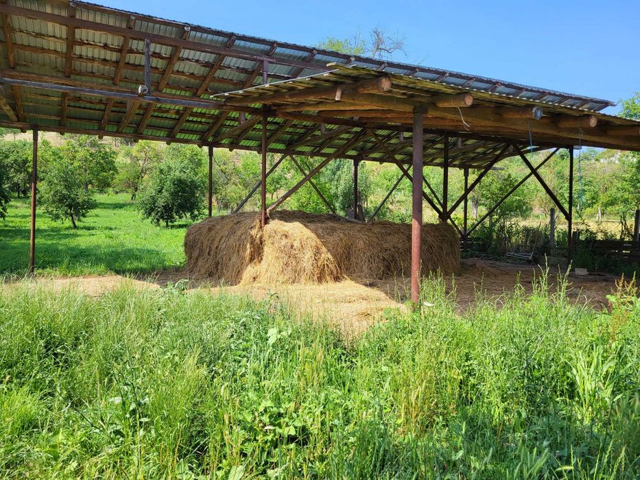 Vânzare casă cu grădină 4000m2