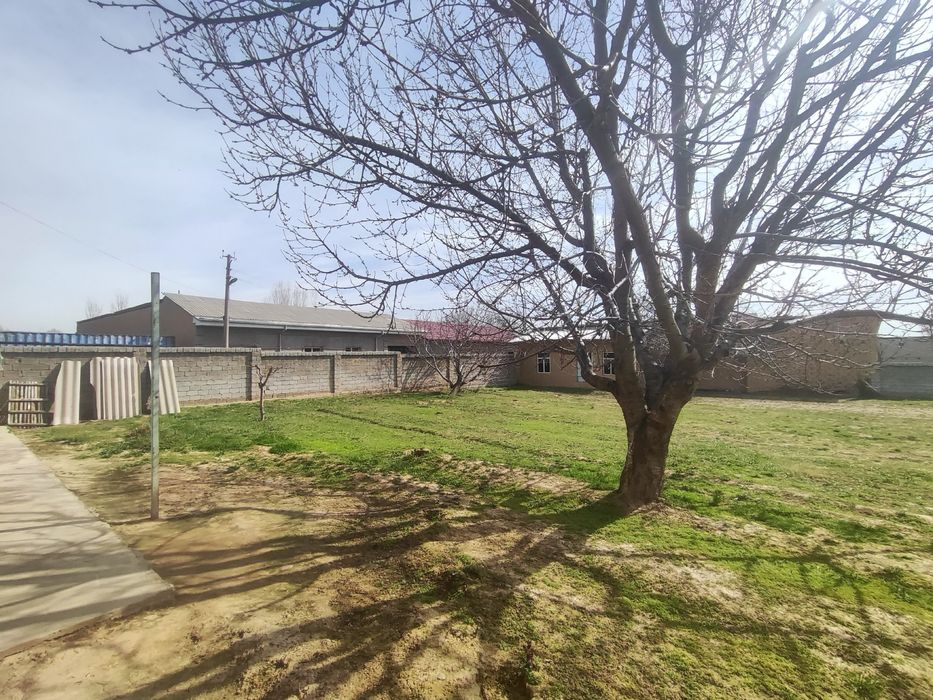 Земля Продажа Кибрай