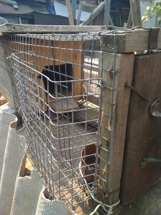 Кроличьи клетки б.у.самодельные