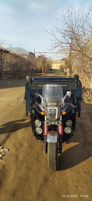 Муравей идеал холатда янги хали