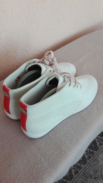 Bascheti  Puma noi nr 44