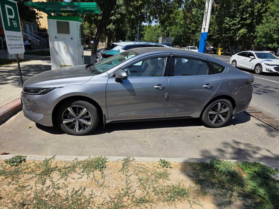 Byd chazor full 4 позиция. 2025г. Май месяц. Цвет серый.