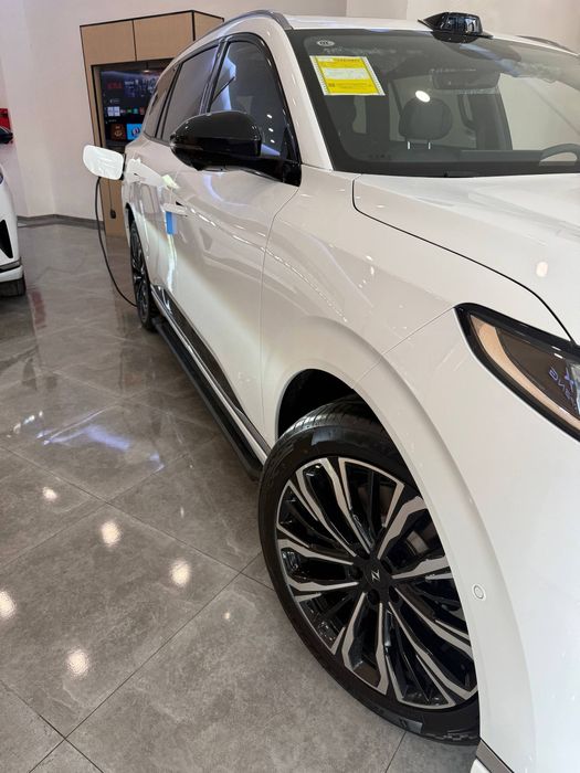 Dongfeng 008  RESTAYL 2026 mokriy salon