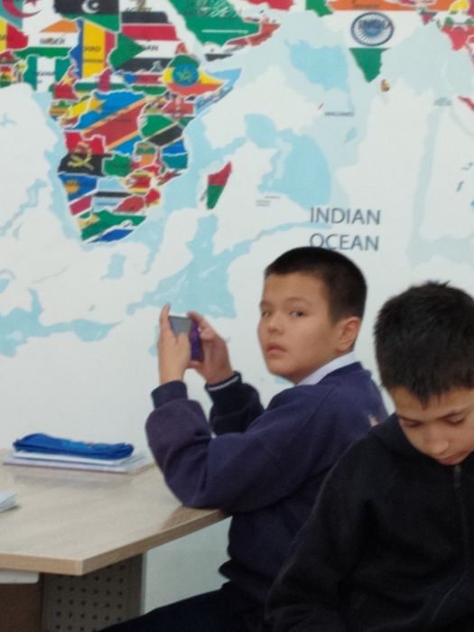 Продам ищаков 5 лет