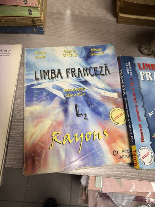 Limba franceza manuale