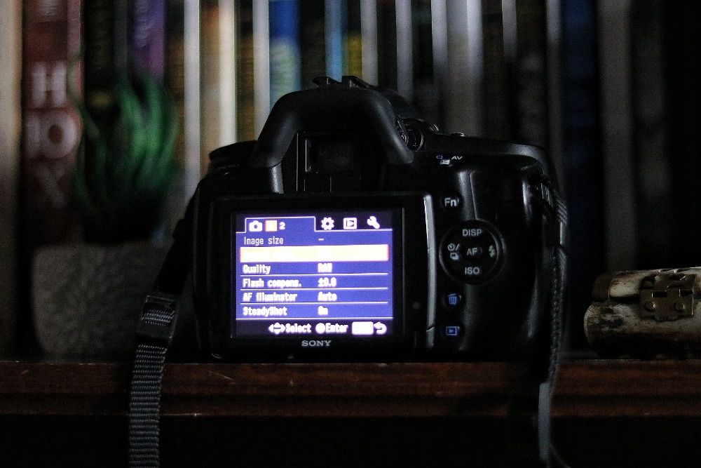 DSLR-Sony Alpha 390 14.2Mpx